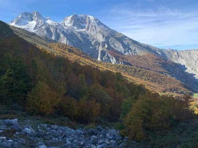 Cumbres De Los Picos Apartamento La Yedra Poo  エクステリア 写真
